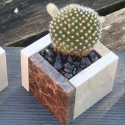 Bostik-DIY-square-pots-for-small-plants-banner