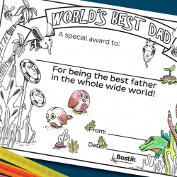 Bostik DIY South Africa Tutorial Best Dad Award banner