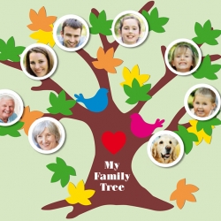 Bostik DIY South Africa Tutorial Family Tree banner