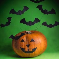 Bostik DIY South Africa Tutorial Halloween Bats teaser image