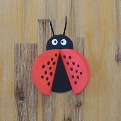 Bostik DIY South Africa Tutorial Ladybug Teaser