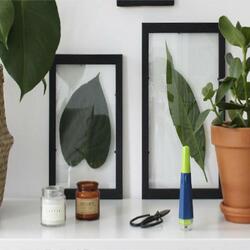 bostik diy cadre vegetal teaser 920x552px
