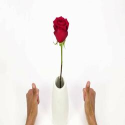 UK Ideas Inspiration Repair a Vase step teaser