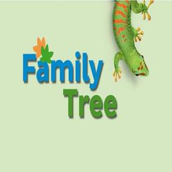South africa ideas inspiration family tree teaser