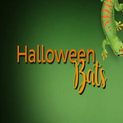 South africa ideas inspiration halloween bats teaser