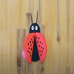 South Africa Tutorial Ladybug teaser