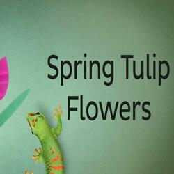 South africa ideas inspiration spring tulip teaser
