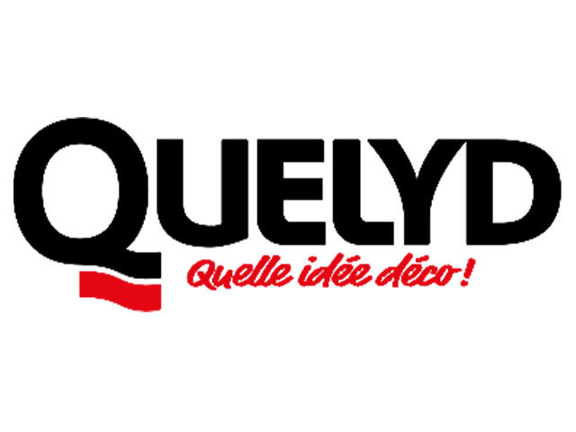 Bostik DIY France logo quelyd