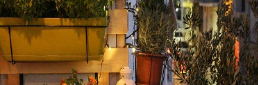 Greece How to make a vertical garden teaser image