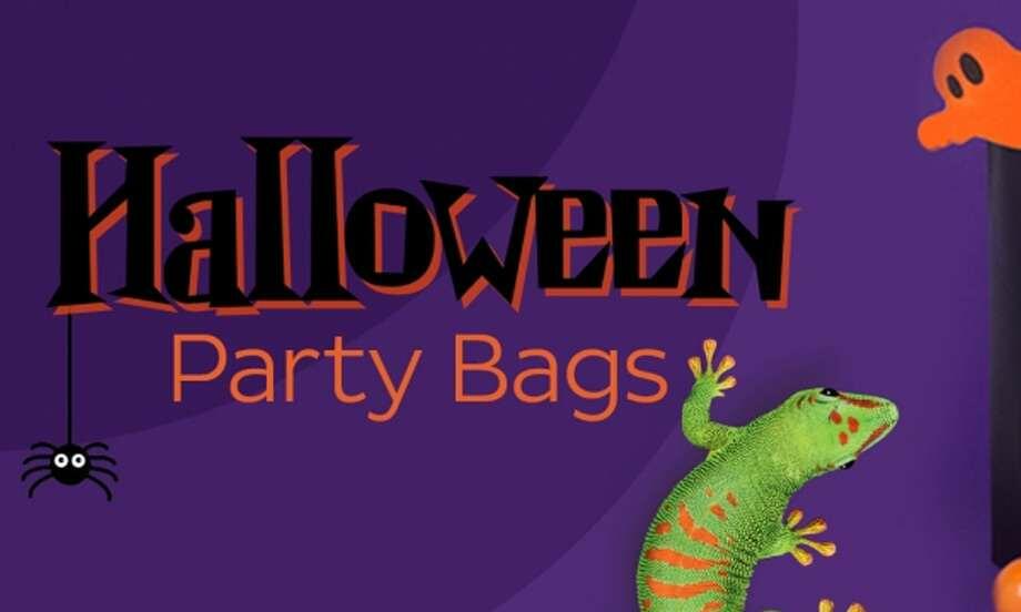 South Africa Tutorial Holloween Party Bags teaser