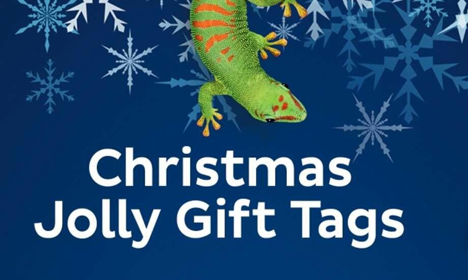 South africa ideas inspiration jolly christmas gift teaser