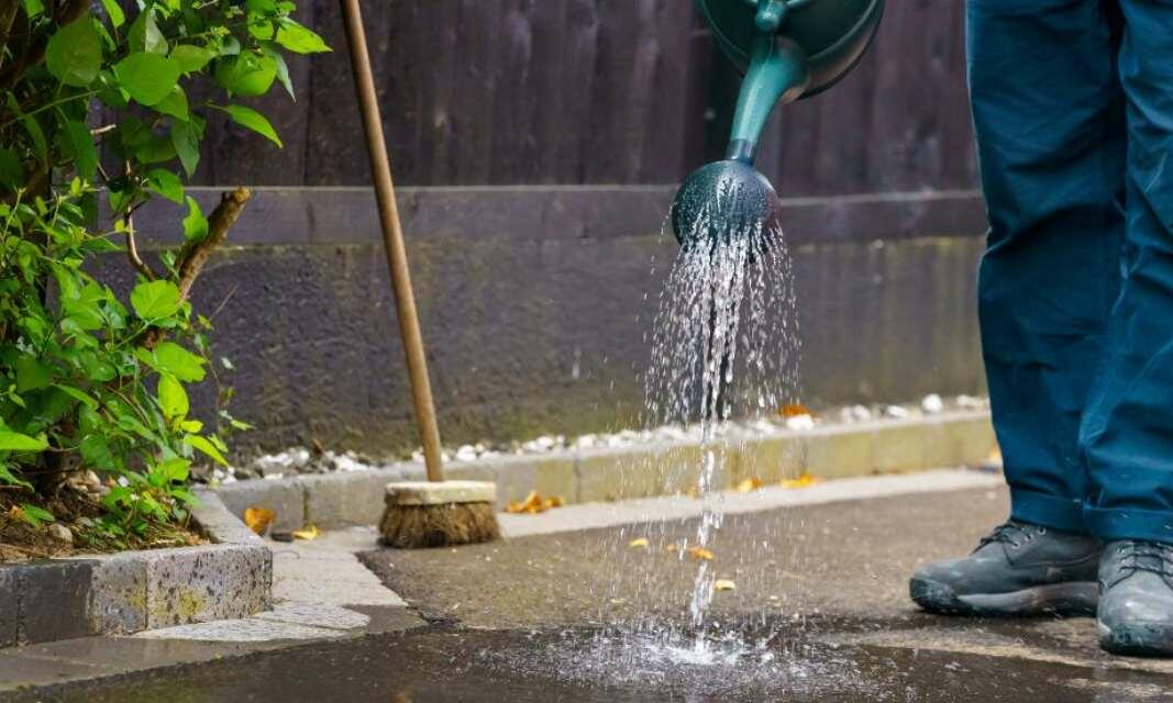 UK Ideas & Inspiration - How to remove green growth teaser