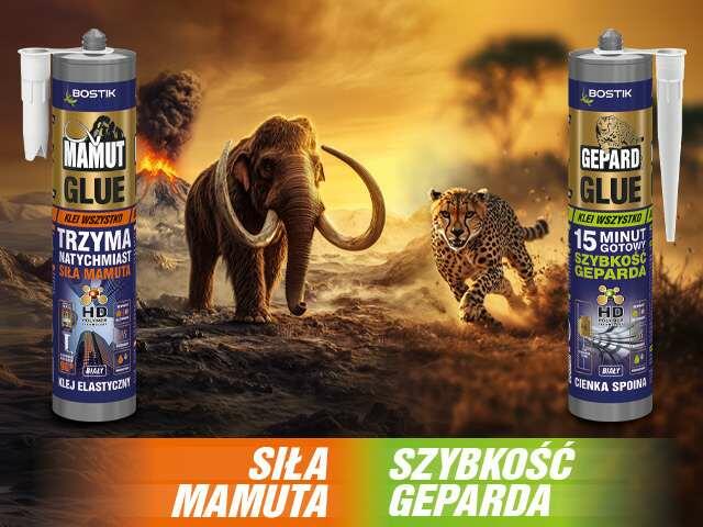 Poland Homepage Gepard Glue banner image