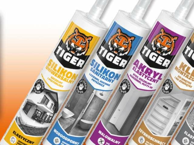 Poland Tiger Teaser