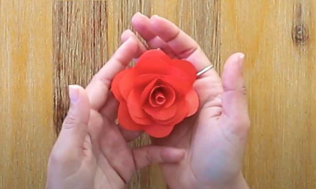 South Africa paper rose tutorial image