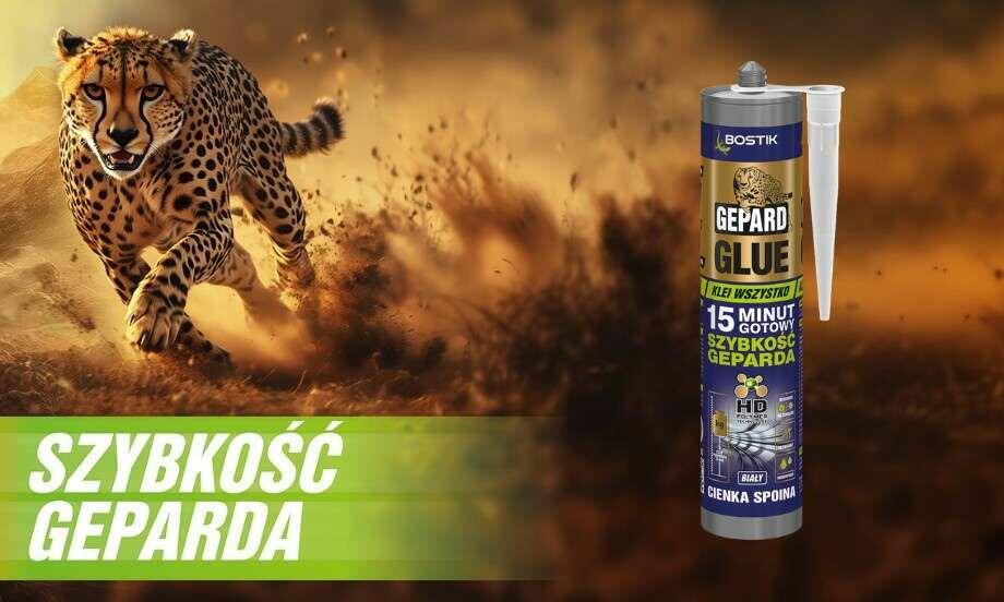 Poland Gepard glue teaser