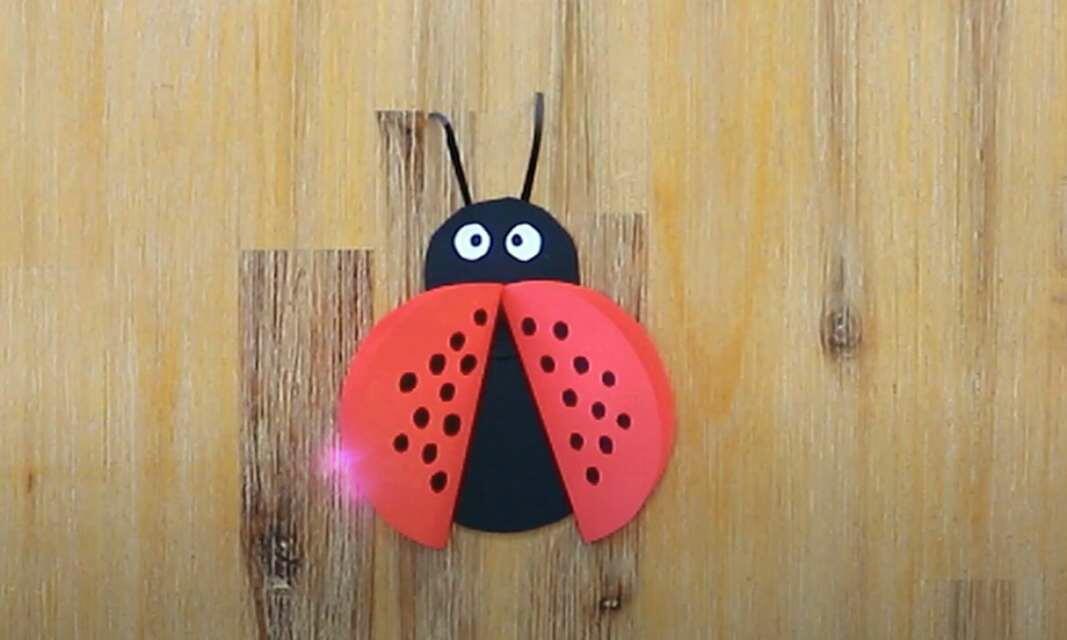 South Africa Tutorial Ladybug teaser