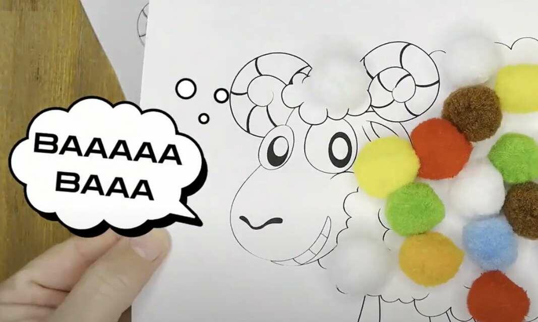 South Africa Tutorial Sheep teaser