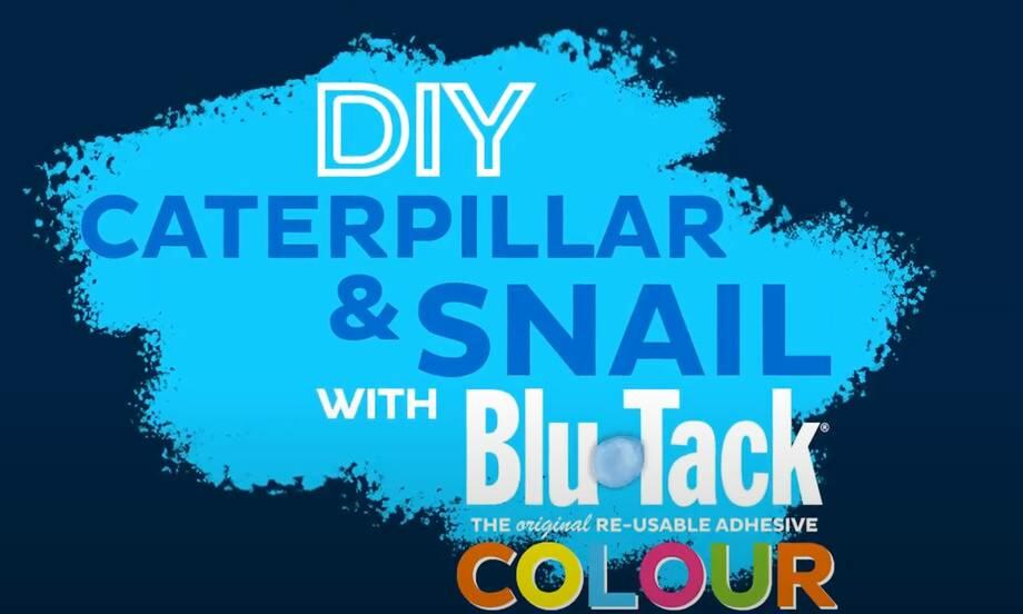 Australia tutorial caterpillar snail teaser image