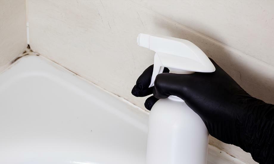 Czech how to clean mold silicone bathroom teaser image