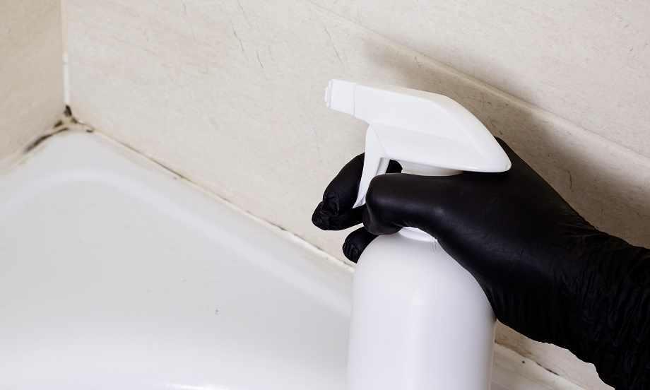 Hungary how to clean mold silicone bathroom teaser image