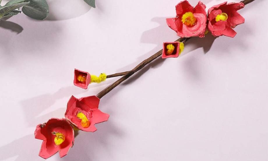 Australia cherry blossoms branch teaser