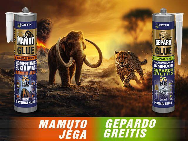 Lithuania gepard glue homepage teaser