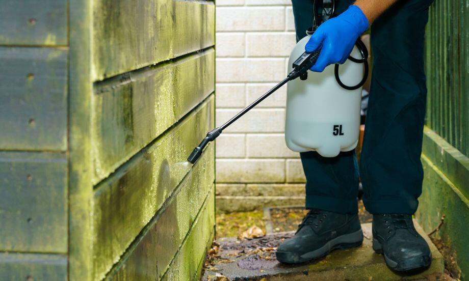 United Kingdom green remover faq article teaser image