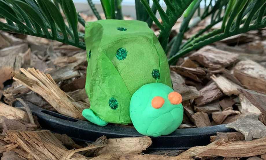 Hong Kong egg carton turtle complete teaser