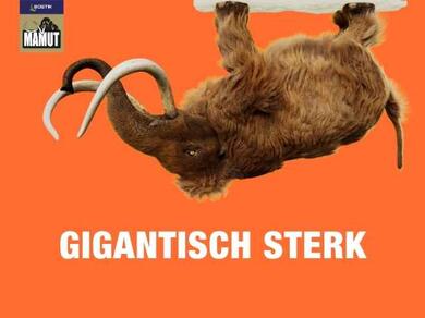 Witte plint strak aangesloten op een deurpost, met een verzorgde overgang tussen muur, kozijn en vloer.