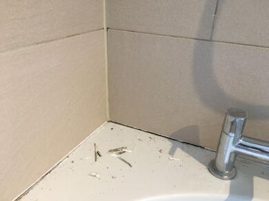 Świeżo nałożony biały silikon w narożniku ściany zabezpieczony niebieską taśmą malarską. Taśma pomaga uzyskać równą i estetyczną linię uszczelnienia.