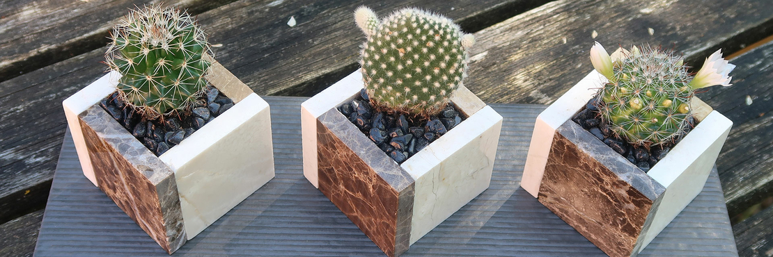 Bostik DIY Ireland Square Pots For Small Plants Banner