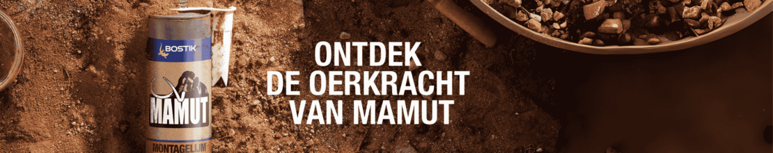 Bostik DIY Nederland Homepage banner desktop