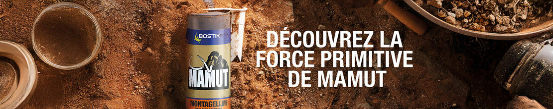 Bostik DIY France homepage banner desktop