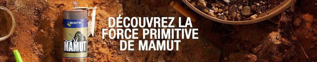 Bostik DIY Belgium French homepage banner desktop