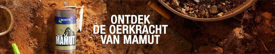 Bostik DIY Nederland Homepage banner desktop