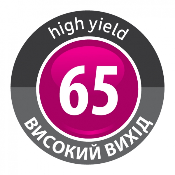 Bostik DIY Ukraine Perfect Fill High yield 65