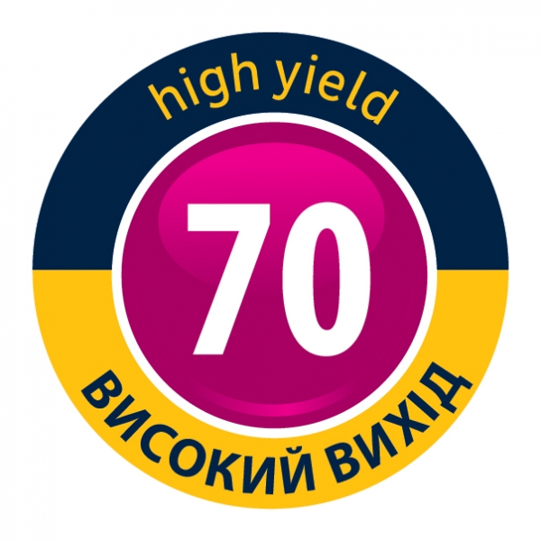 Bostik DIY Ukraine Perfect Fill High yield 70