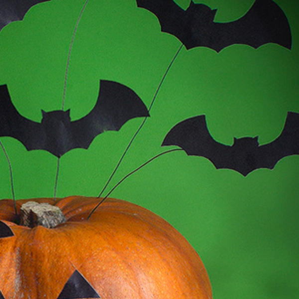 Bostik DIY South Africa Tutorial Halloween Bats step 2