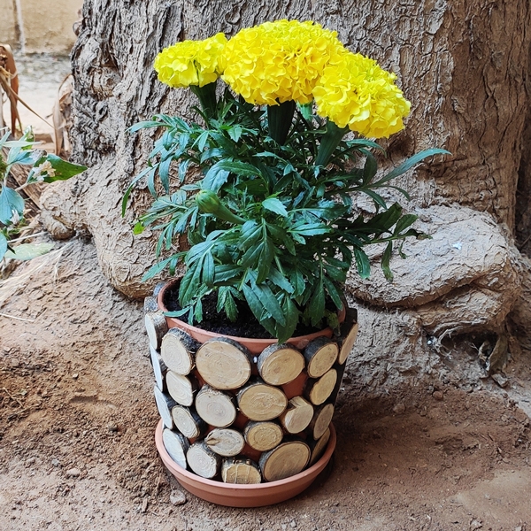 Bostik DIY Greece tutorial Flower Pots step 13