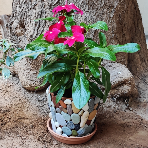 Bostik DIY Greece tutorial Flower Pots step 19