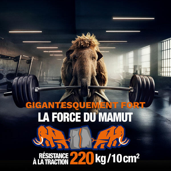 Bostik DIY Belgium Mamut Colle de montage product image