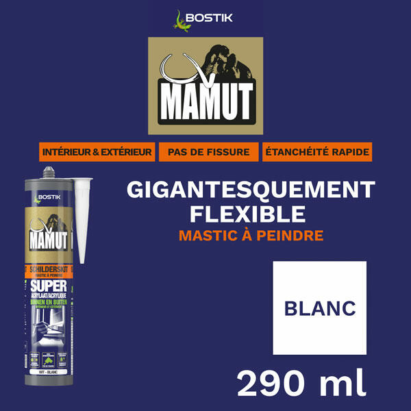 Bostik DIY Belgium Mamut Mastic a Peindre product image