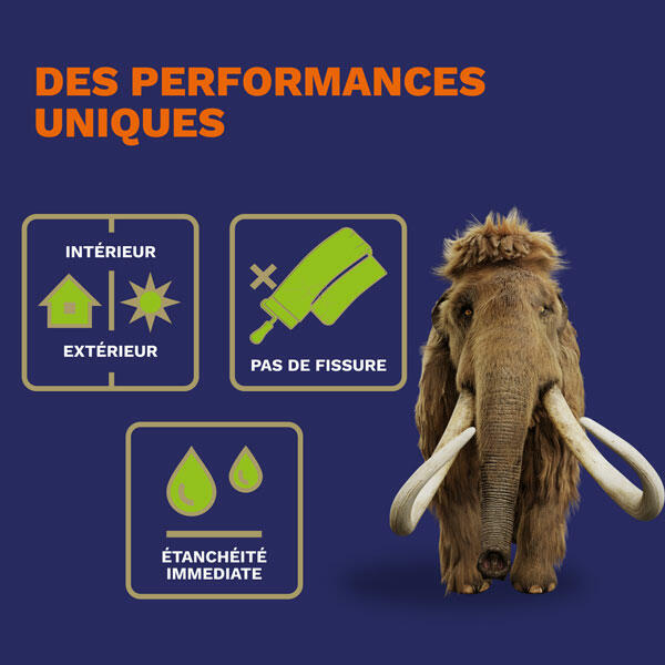 Bostik DIY Belgium Mamut Mastic a Peindre product image