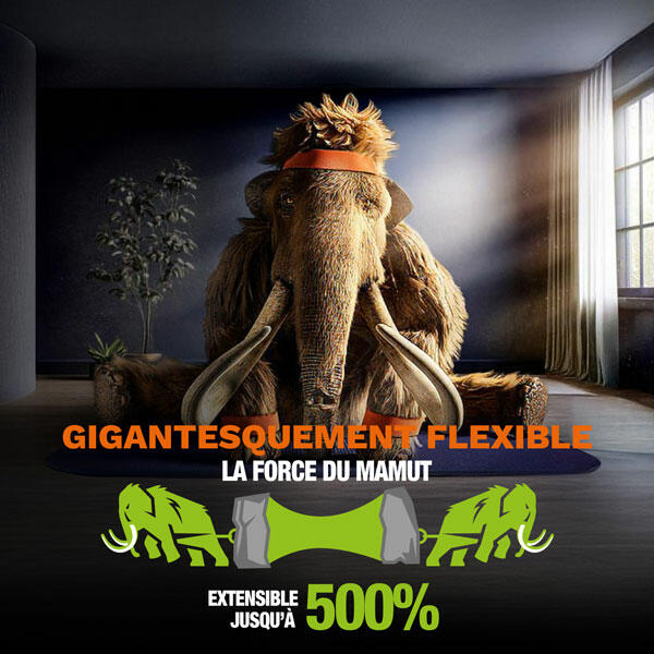 Bostik DIY Belgium Mamut Mastic a Peindre product image