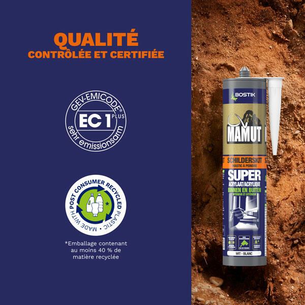 Bostik DIY Belgium Mamut Mastic a Peindre product image