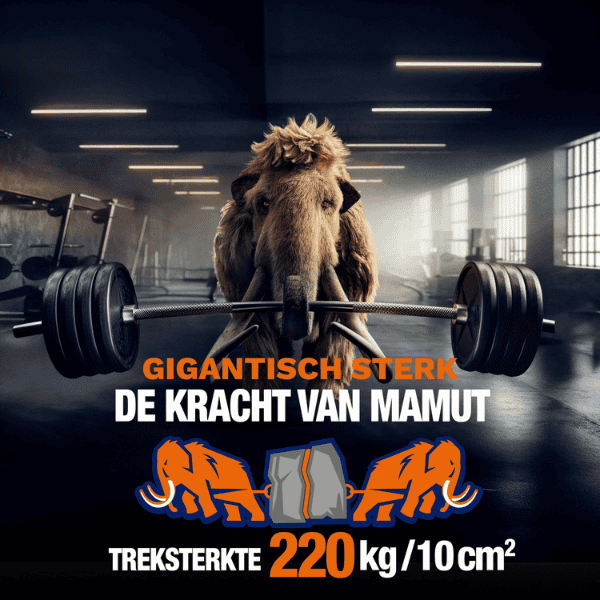 Bostik DIY Nederland Mamut Montagelijm product image