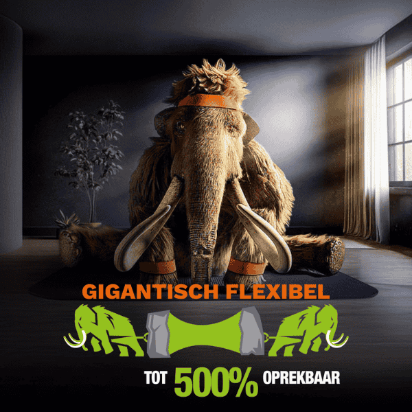 Bostik DIY Nederland Mamut Schilderskit product image