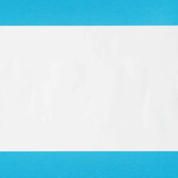 Bulgaria Blu Glu Stick application 2