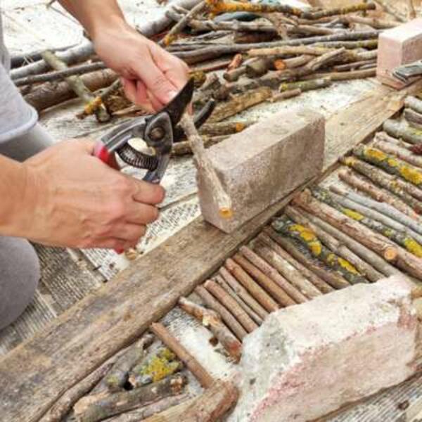 Greece Tutorial XmasTreeNatural Image 2